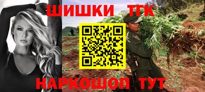 гидра Можга