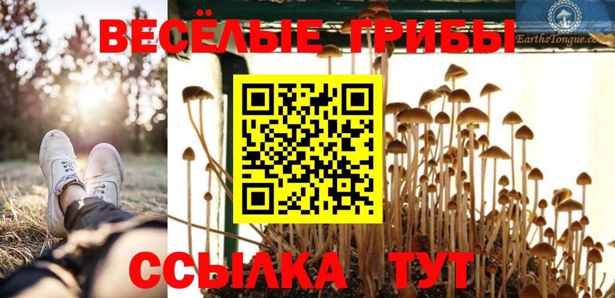 Псилоцибиновые грибы Magic Shrooms  Вход с VPN  Майкоп  Галлюциногенные грибы GOLDEN TEACHER 